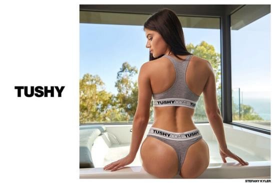 Tushy - Stefany Kyler : Lasting Impression (HD/720p/2.15 GB)