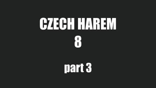 CzechHarem/CzechAV - Harem 8 - Part 3 (FullHD/1080p/405 MB)